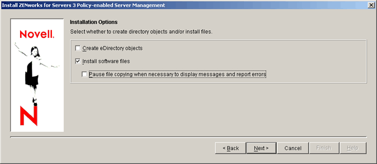 Installation Options page
