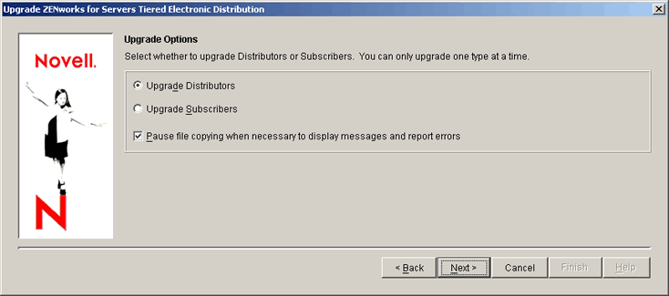 Upgrade Options page