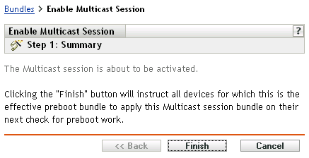 Step 1 for enabling a Multicast session: Summary
