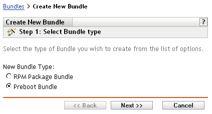 Step 1 page for creating a new bundle: Select Bundle Type