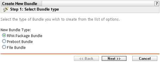 Step 1: Select Bundle Type page