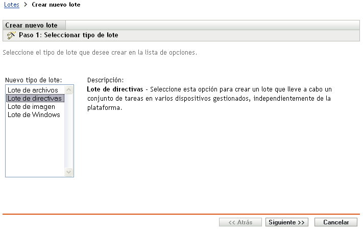 Página Crear nuevo lote