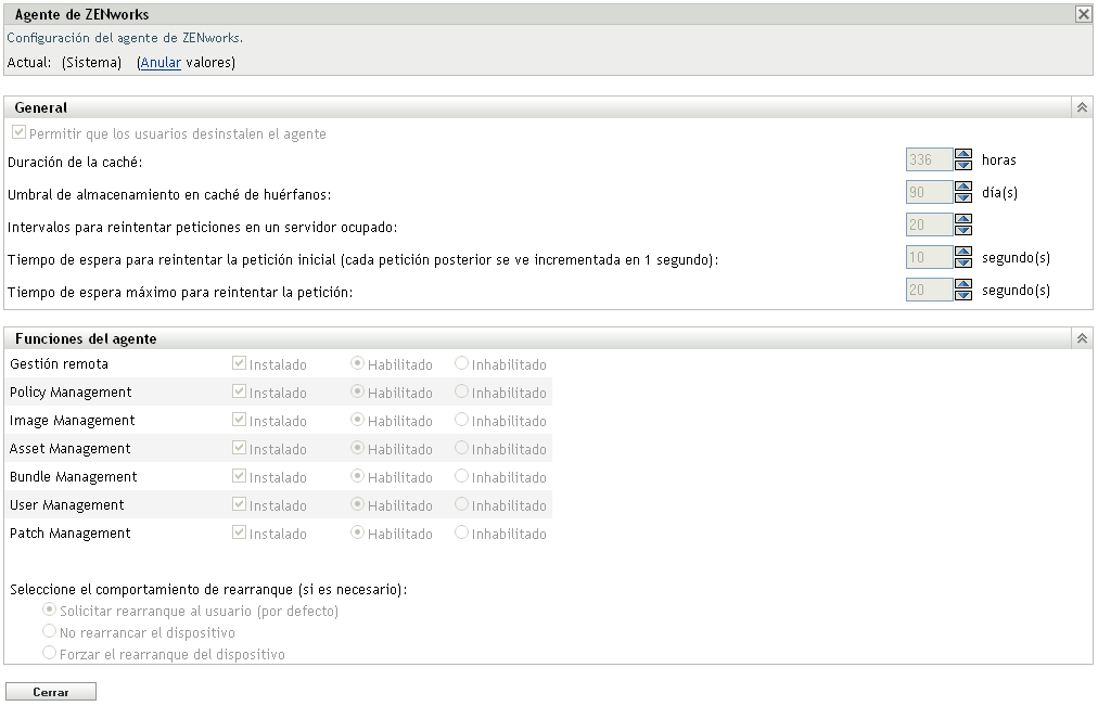 Página Agente de ZENworks > panel Funciones del agente