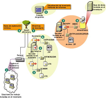 Ciclo de exploración del inventario en una situación de informes en la que hay estaciones de trabajo que tienen instalado el Cliente Novell.