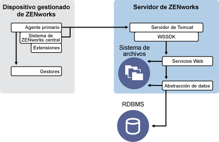 Arquitectura de clientes y servidores de ZENworks 11