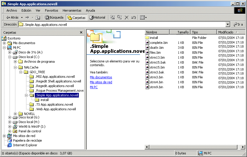 Directorio del cach NAL en una unidad local