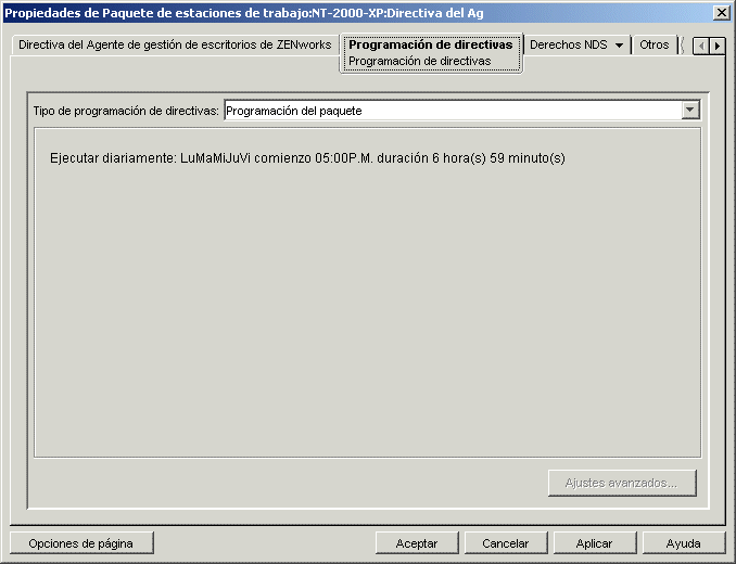 La pgina Programacin de directivas.