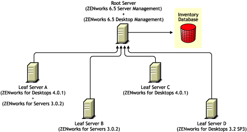 Los servidores con versiones distintas de ZENworks for Desktops 3.2 SP3, ZENworks for Desktops 4.x o ZENworks for Servers 3.0.2 transfieren la informacin de inventario al servidor raz con Gestin de escritorios de ZENworks 6.5 y Gestin de servidores de ZENworks 6.5.