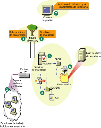 Ciclo de exploración del inventario en el servidor independiente que consta de estaciones de trabajo que tienen instalado el Cliente Novell.