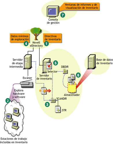 Ciclo de exploración del inventario en una situación independiente en que hay estaciones de trabajo que no tienen instalado el Cliente Novell.