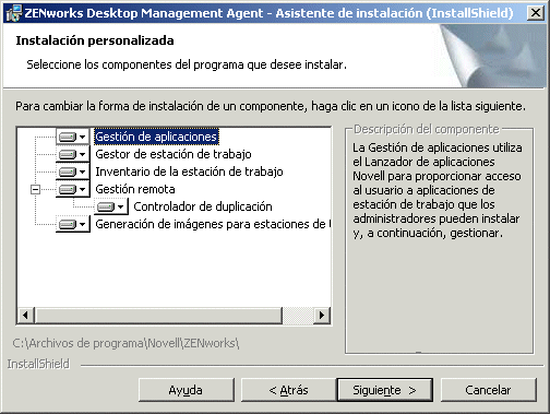 Página de funciones disponibles del asistente de instalación del Servidor de gestión de escritorios de ZENworks.