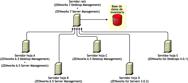 Los servidores hoja tienen diferentes versiones de ZENworks que transfieren la información de inventario a un servidor raíz con ZENworks 7 Desktop Management y ZENworks 7 Server Management.