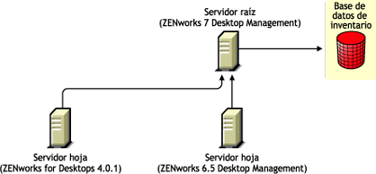 El servidor hoja de ZENworks for Desktops 4.0.1 y el servidor hoja de ZENworks 6.5 Desktop Management transfieren la información de inventario al servidor raíz de ZENworks 7 Desktop Management después de la actualización.