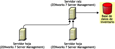 Los servidores hoja de Gestión de servidores de ZENworks 7 transfieren datos de manera ascendente al servidor raíz de Gestión de servidores de ZENworks 7.