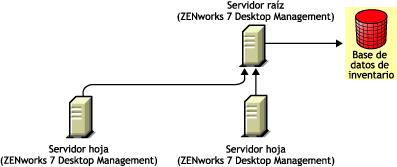 Los servidores hoja de Gestión de escritorios de ZENworks 7 realizan la transferencia ascendente al servidor raíz de Gestión de escritorios de ZENworks 7.