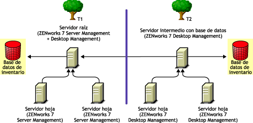 Transferencia ascendente de inventario en árboles tras la implantación del método de fusión 1.