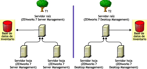 Dos árboles de eDirectory con árboles de inventario de Gestión de servidores de ZENworks 7 y de Gestión de escritorios de ZENworks 7 en cada uno de ellos.