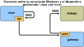 Conexión entre la consola de Windows y el dispositivo gestionado Linux con túnel