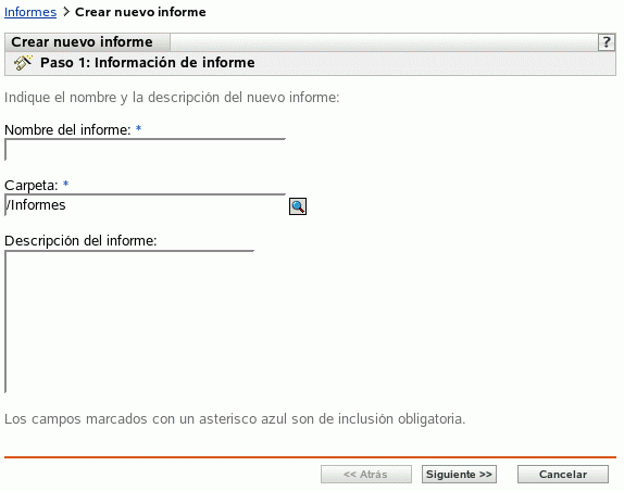 Página Información de informe
