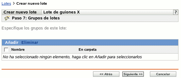 Paso 7 para crear un nuevo lote: Grupos de lotes