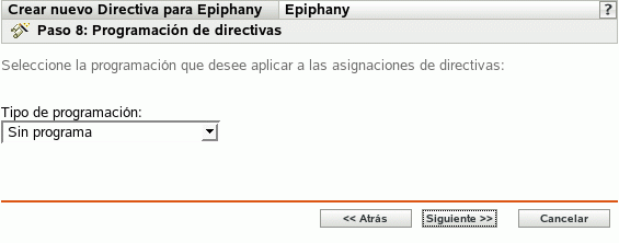 Página Programación de directivas