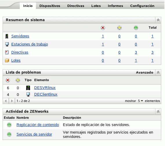 Página de resumen y lista de problemas