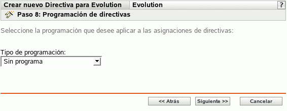 Página Programación de directivas