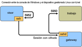 Conexión entre la consola de Windows y el dispositivo gestionado Linux con túnel