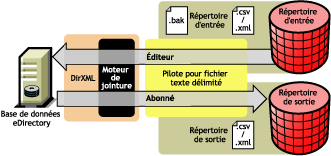 Flux de données du pilote pour fichier texte délimité