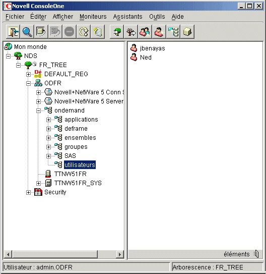 Écran de ConsoleOne montrant un exemple de la structure de OnDemand Services