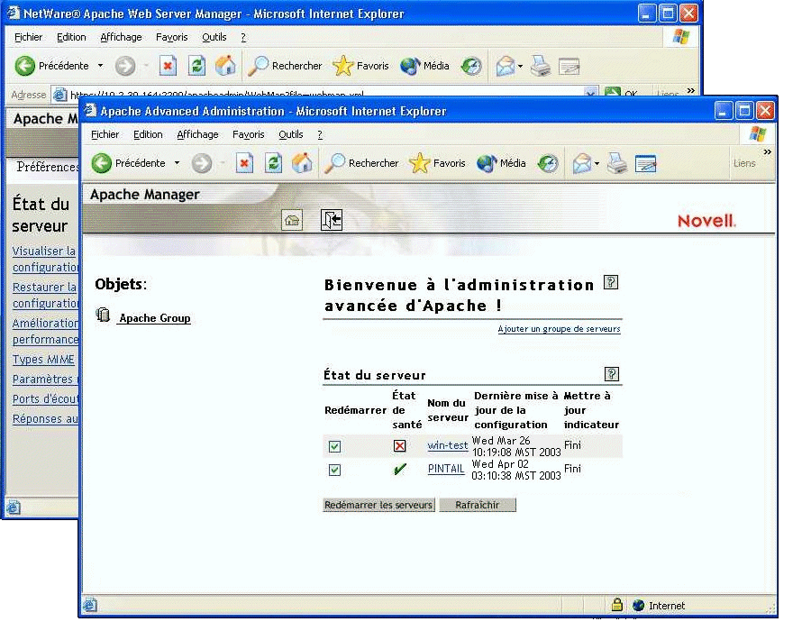 Interface d'administration de serveur unique et multiple d'Apache Manager.