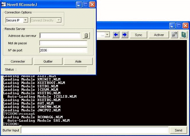 L'interface RConsoleJ.