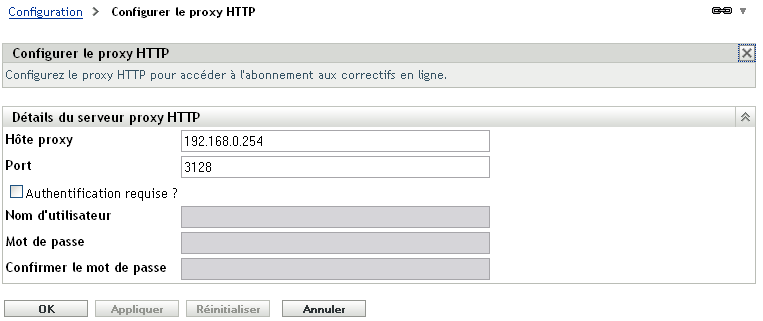 page Détails du serveur proxy