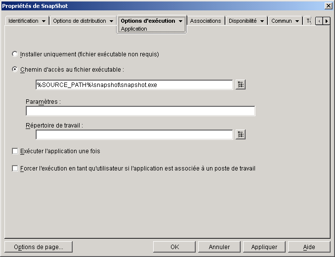 Objet Application > onglet Options d'excution > page Application