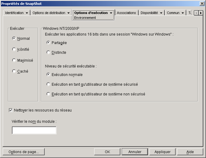 Objet Application > onglet Options d'excution > page Environnement