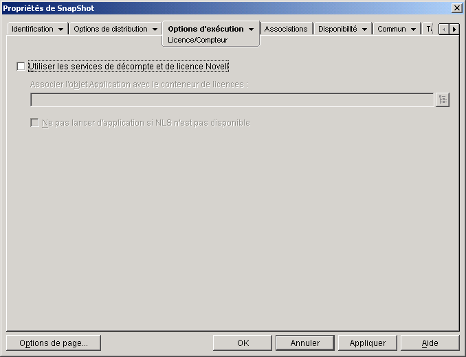 Objet Application > onglet Options d'excution > page Licence/Compteur