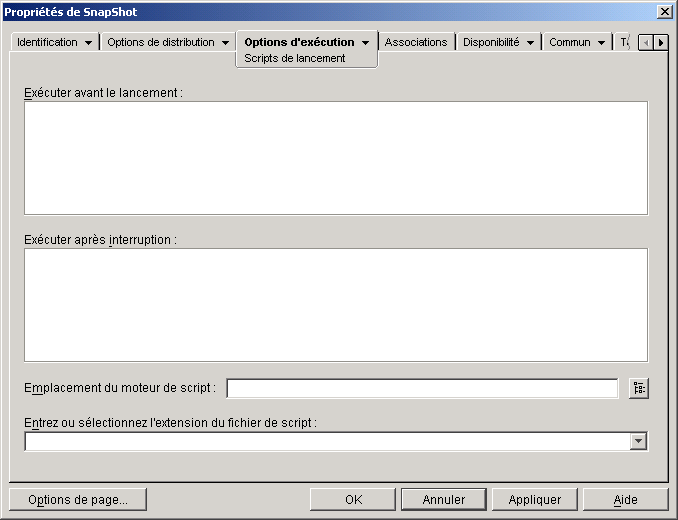 Objet Application > onglet Options d'excution > page Scripts de lancement