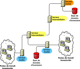 Illustration d'une configuration standard de serveur feuille avec base de donnes.