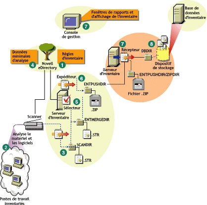 Cycle d'analyse d'inventaire dans le scnario de transfert en amont compos de postes de travail sur lesquels le client Novell est install.