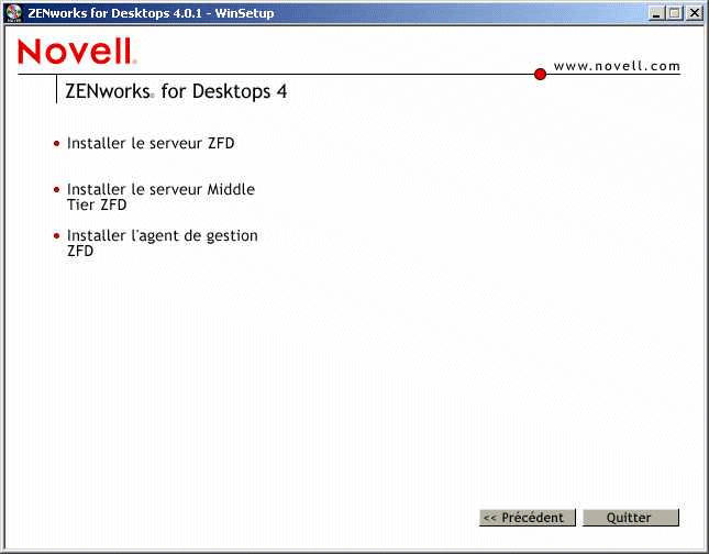 Page contenant les options d'installation de ZfD