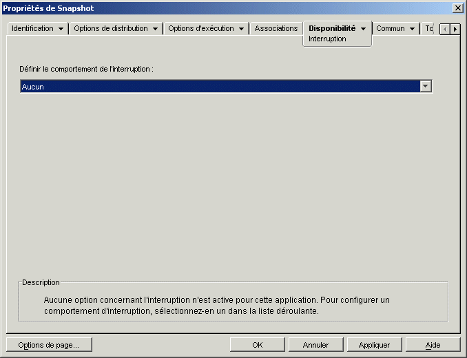 objet Application > onglet Disponibilit > page Interruption