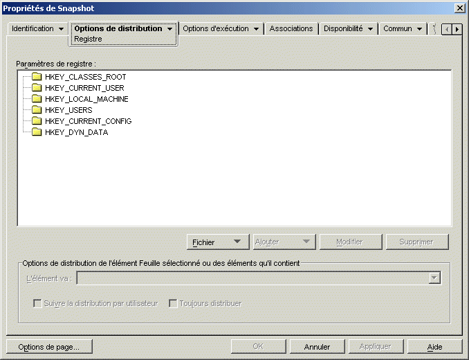 Objet Application > onglet Options de distribution > page Registre