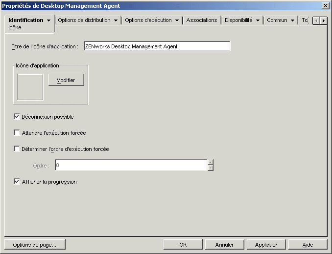 Objet Application > onglet Identification > page Icne