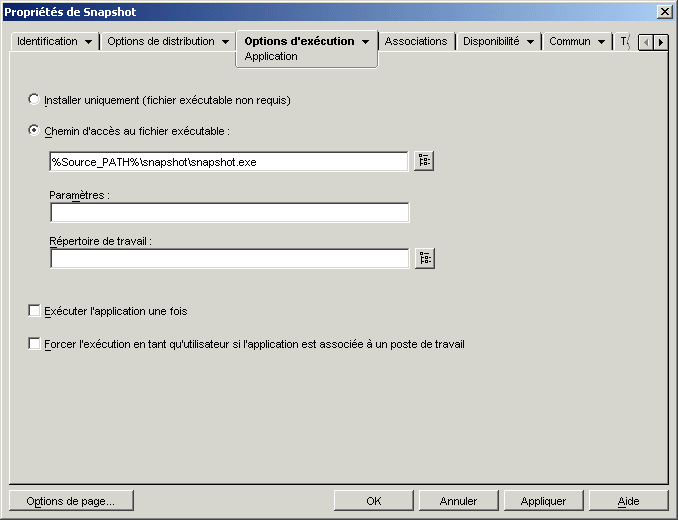 objet Application > onglet Options d'excution > page Application