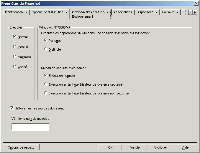objet Application > onglet Options d'excution > page Environnement