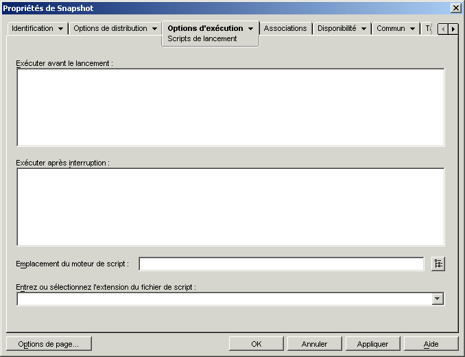 objet Application > onglet Options d'excution > page Scripts de lancement