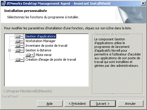 Page des fonctions disponibles de l'assistant d'installation de l'agent ZENworks Desktop Management