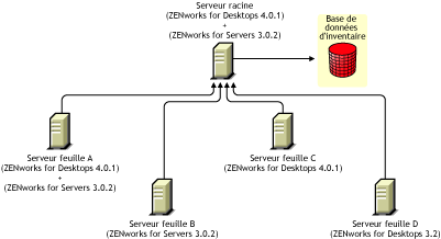 Les serveurs feuilles possdent des versions diffrentes de ZENworks for Desktops 3.2, ZENworks for Desktops 4.x ou ZENworks for Servers 3.0.2 qui transfrent en amont les informations d'inventaire vers le serveur racine possdant ZENworks for Desktops 4.0.1 et ZENworks for Servers 3.0.2.