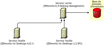 Serveur feuille de ZENworks for Desktops 4.0.1 et serveur feuille de ZENworks for Desktops 3.2 SP3 transfrant les informations d'inventaire vers le serveur racine de ZENworks 6.5 Desktop Management aprs mise  niveau.