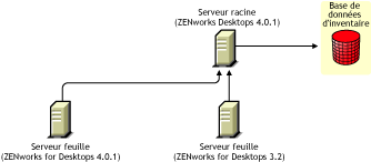 Serveur feuille de ZENworks for Desktops 4.0.1 et serveur feuille de ZENworks for Desktops 3.2 transfrant les informations d'inventaire vers le serveur racine de ZENworks for Desktops 4.0.1.